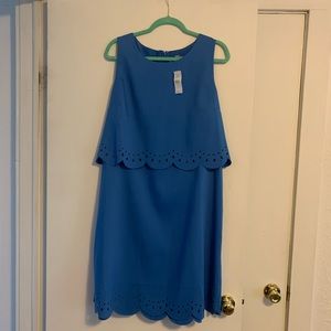 NWT Loft Sheath Dress